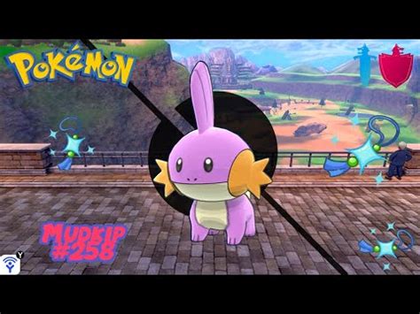 mudkip hidden ability.